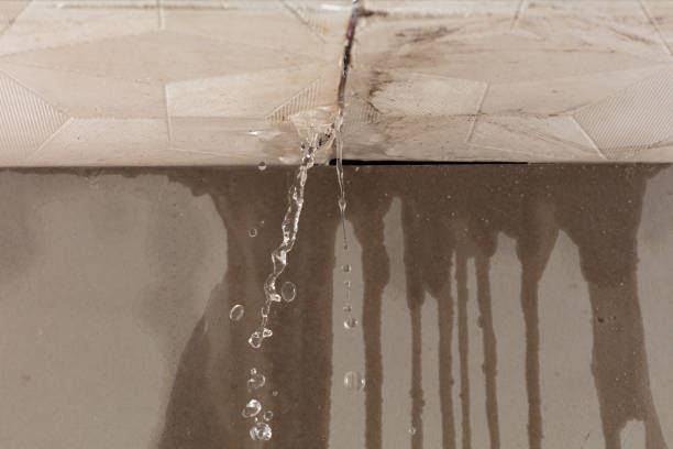 Professional Water Damage Repair technician working in Needville, TX